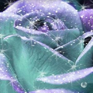 Meet your Posher, Cute